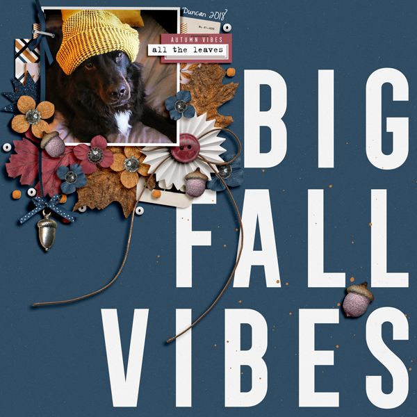 big fall vibes