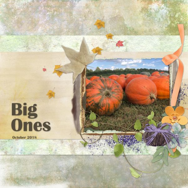 Big Ones