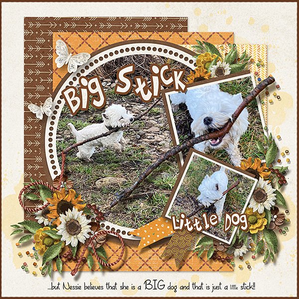 Big-Stick-Little-Dog.web.jpg