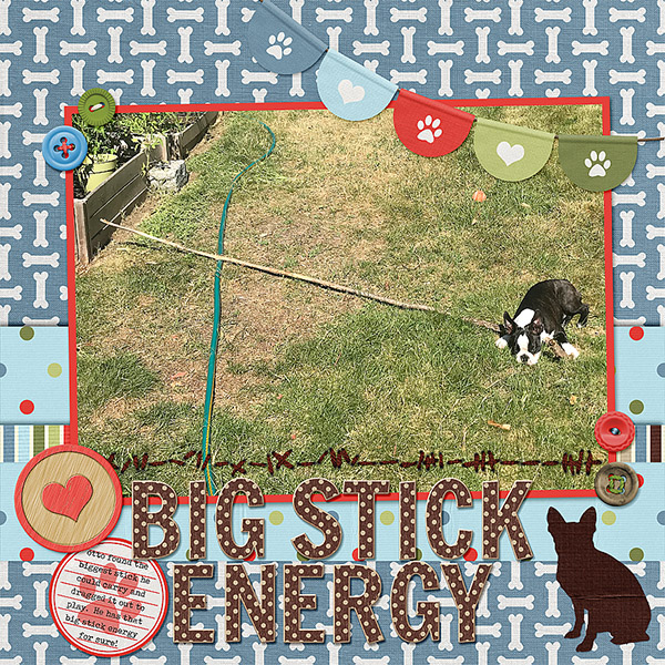 Big Stick