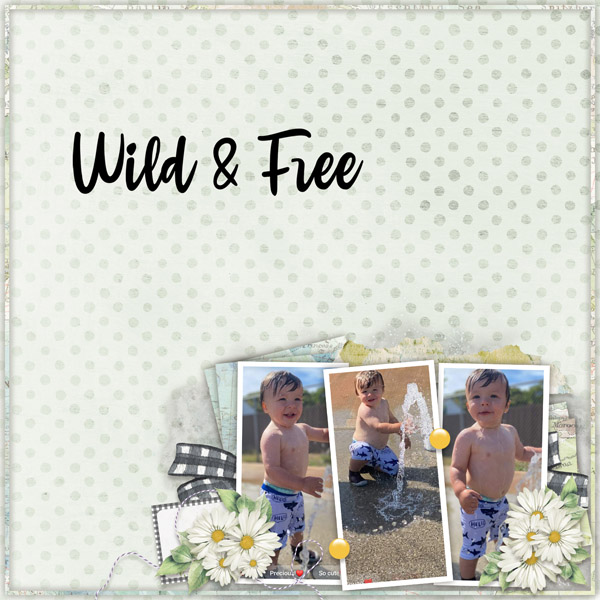 Big Summer Fun 2 Temp #4-Miss Fish, Use it all Challenge-KS