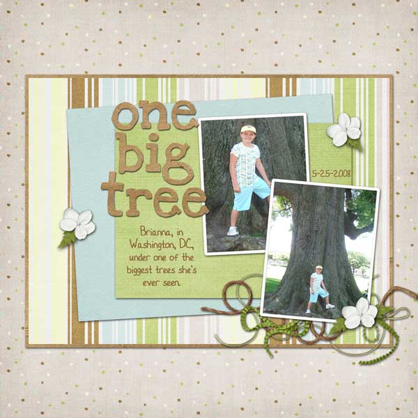 big tree