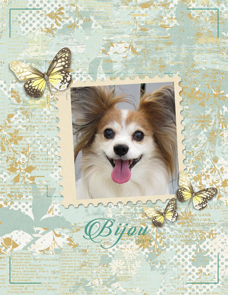 Bijou 12-03-16