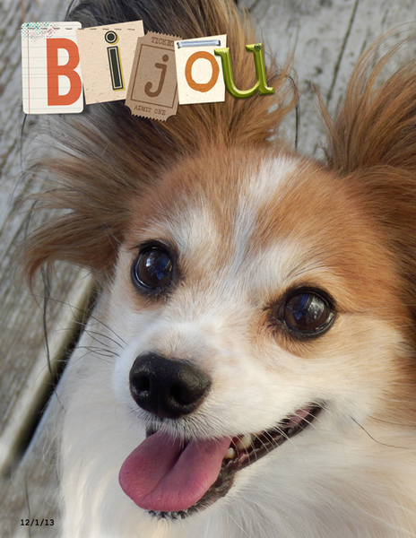 Bijou (alphas)