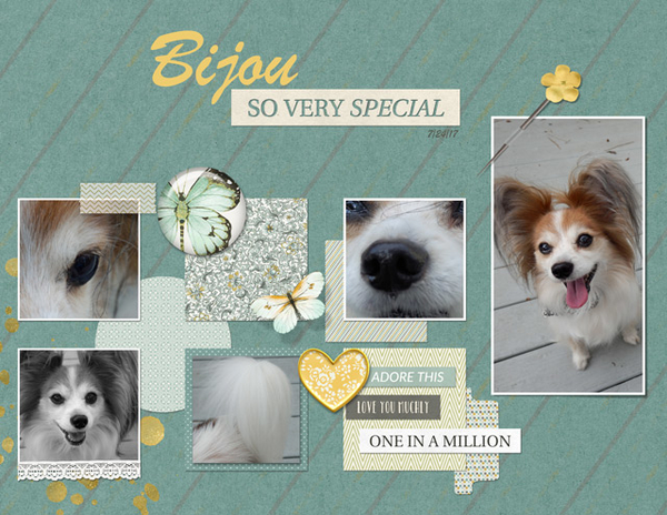 Bijou - So Very Special