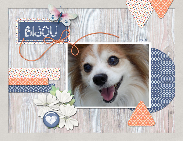Bijou
