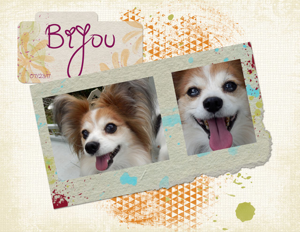 Bijou