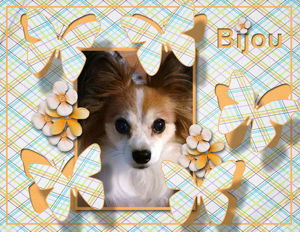 Bijou