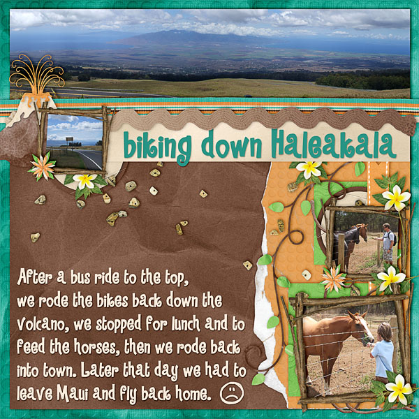 Biking Haleakala