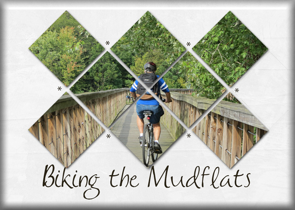 Biking the Mudflats