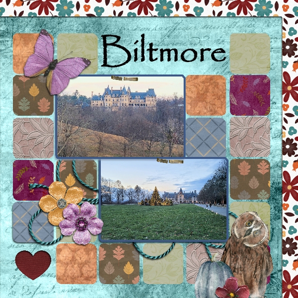 Biltmore November