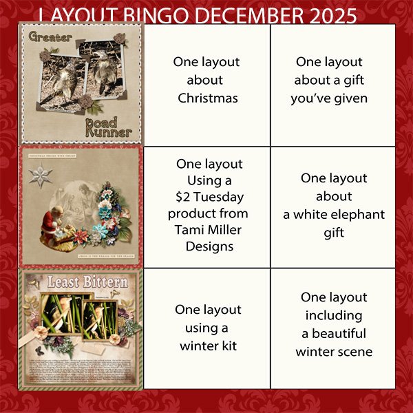 bingo.jpg
