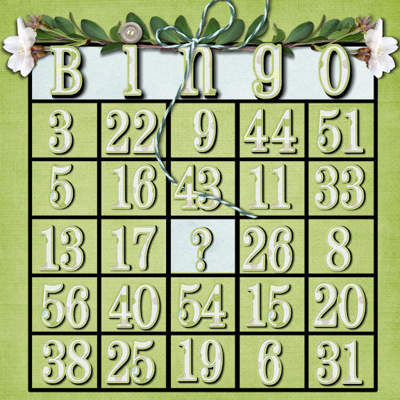 Bingo nsd