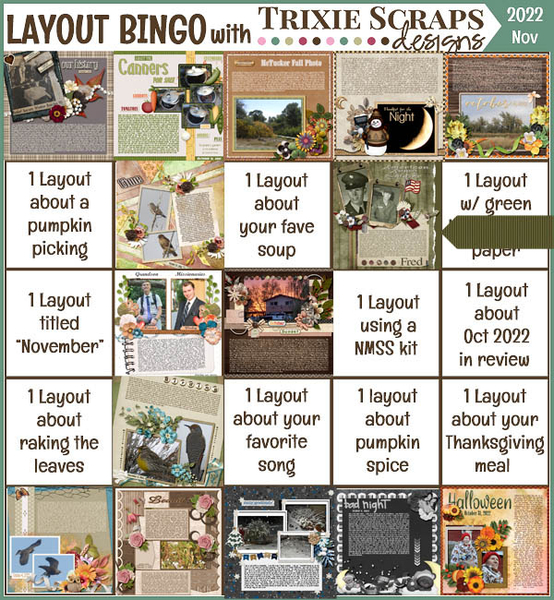 bingo_nov2022_small