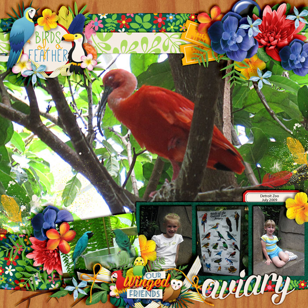 Bird Aviary