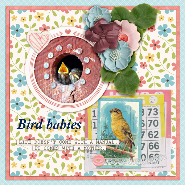 Bird-babies