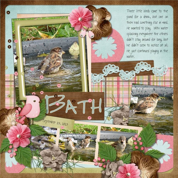 Bird Bath