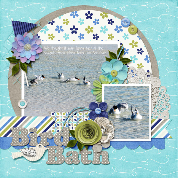 Bird Bath
