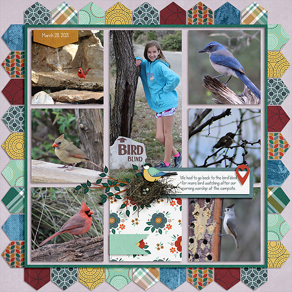 Bird Blind