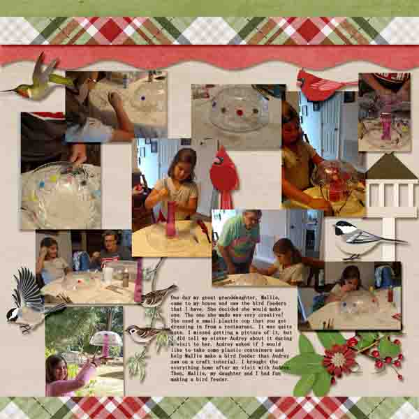 Bird feeder craft