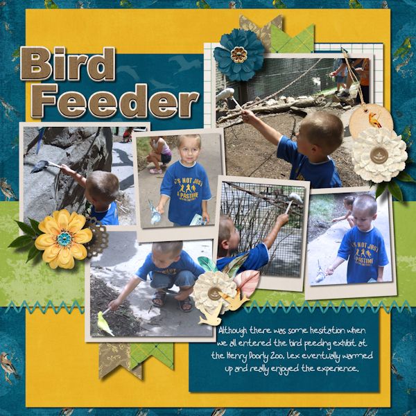 Bird Feeder