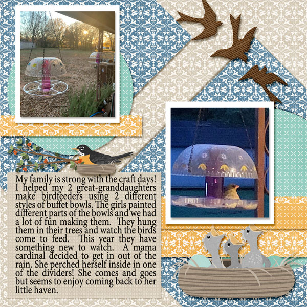 Bird Feeder