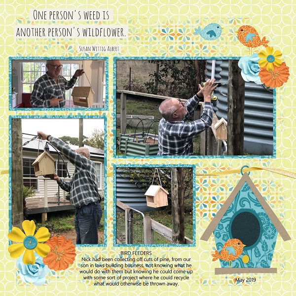 Bird Feeders
