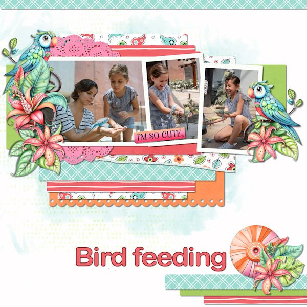 Bird feeding