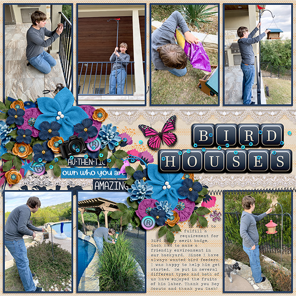 Bird House Building