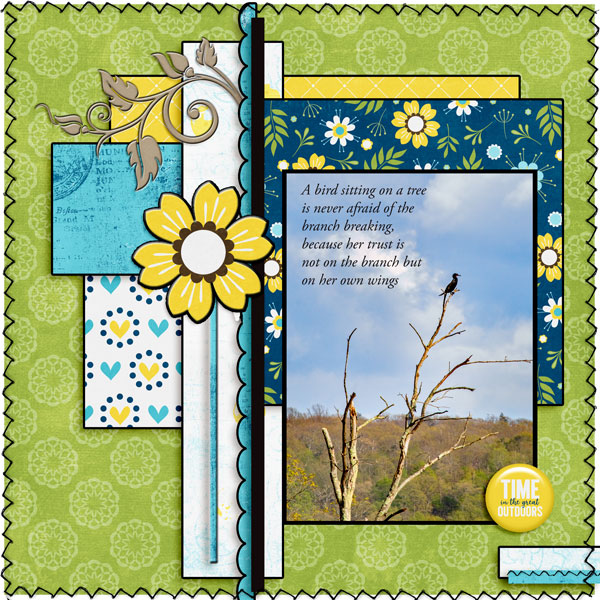 Bird In A Tree