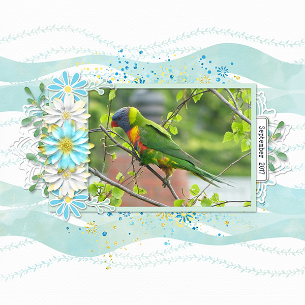 Bird in Garden