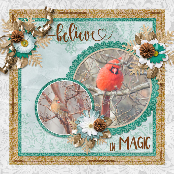 Bird Magic