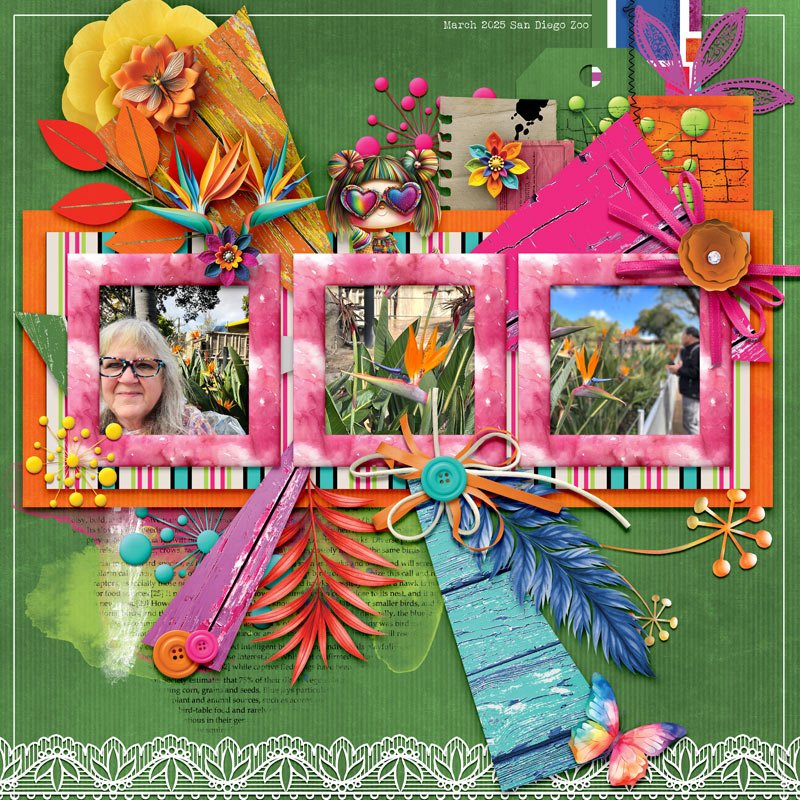 Bird of Paradise.jpg