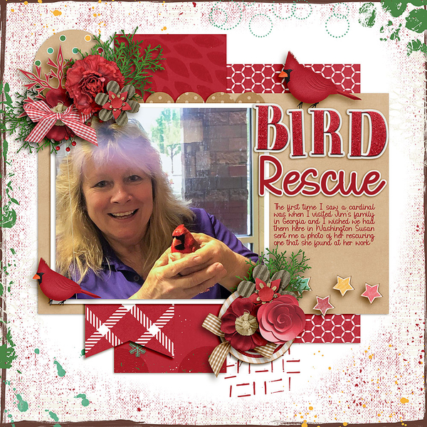 Bird Rescue