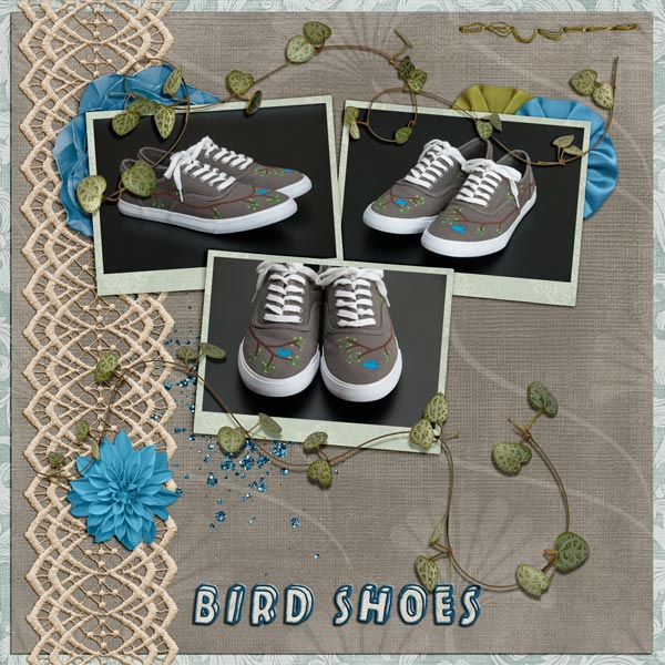 Bird Shoes
