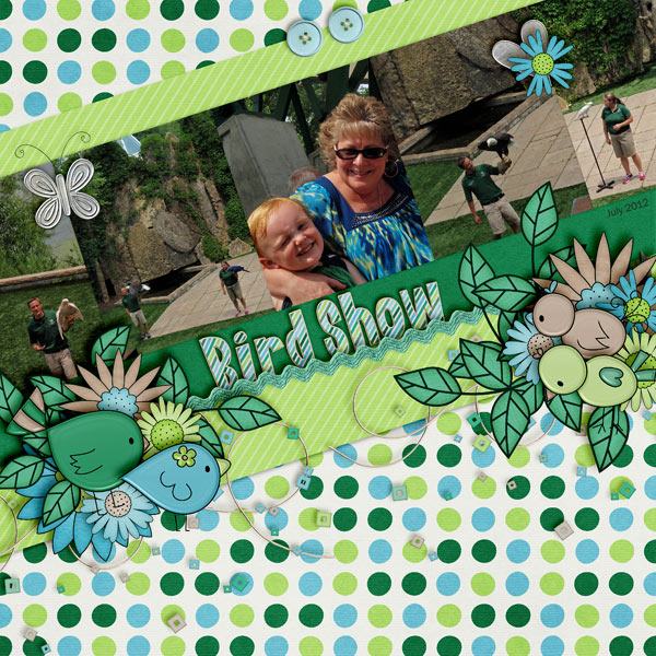 Bird Show