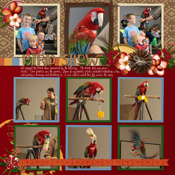 Bird Show