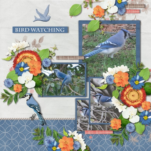 Bird Song