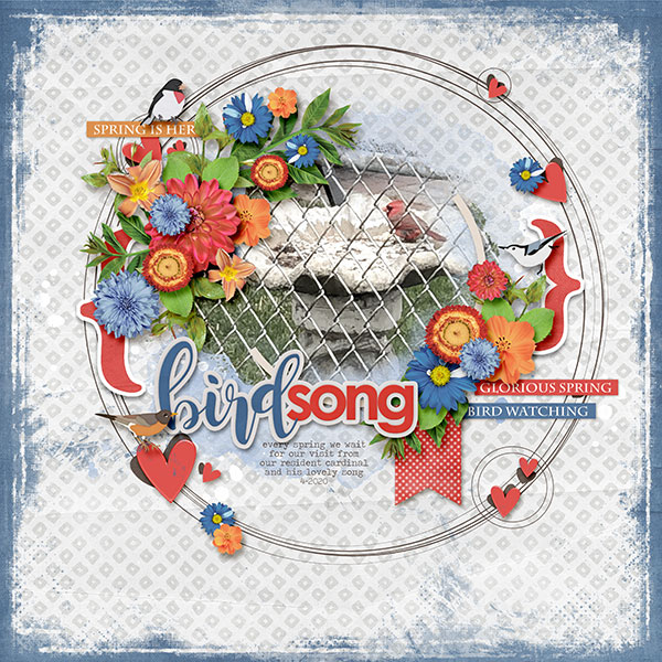 Bird Song