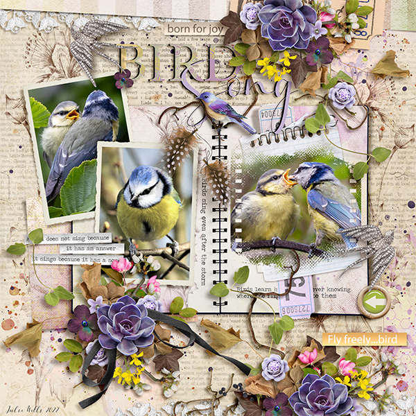 bird song