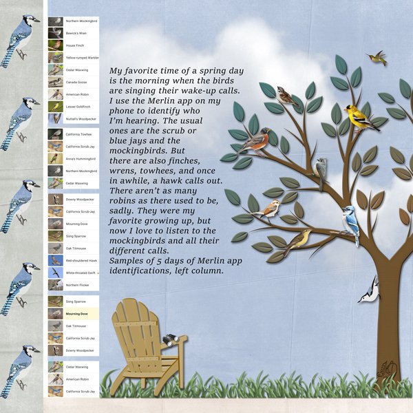 bird songs aroud my yard