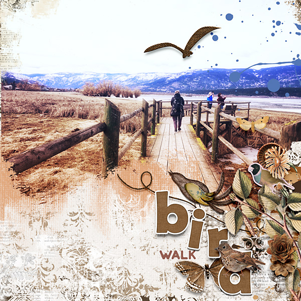 Bird Walk