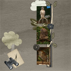 Bird Watcher