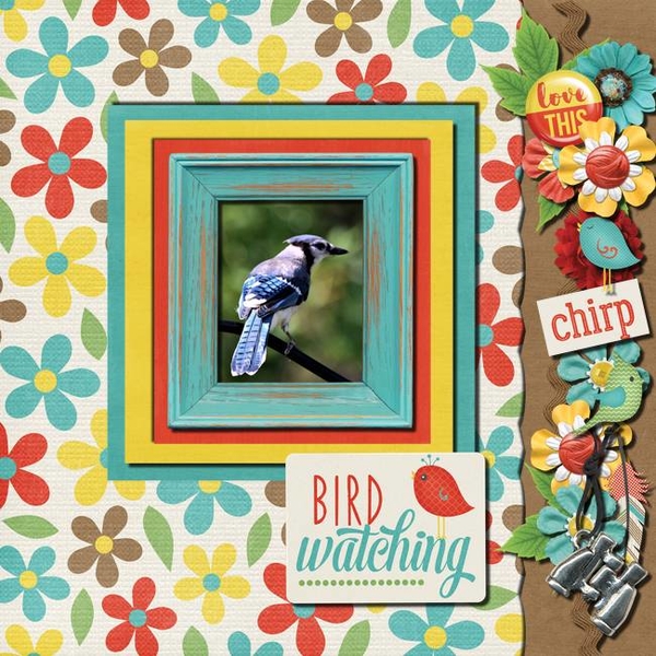 Bird Watcher