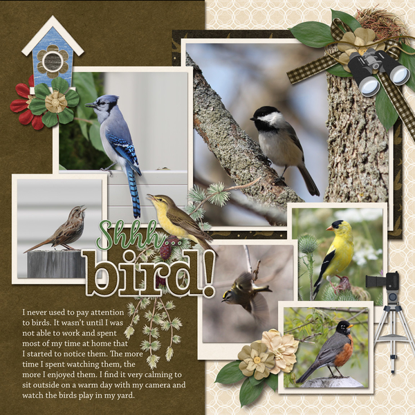 Bird Watcher