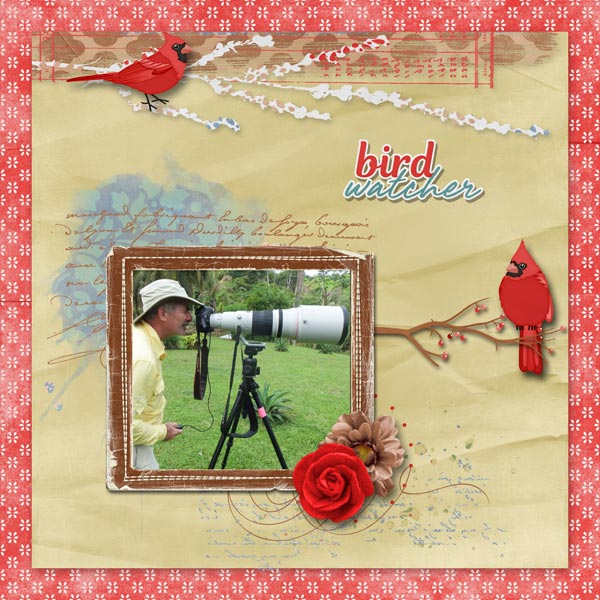 Bird Watcher