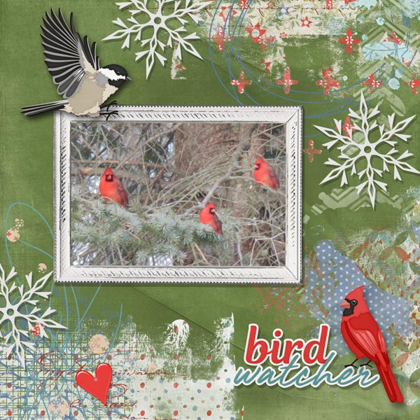 Bird Watcher