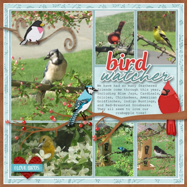 Bird Watcher