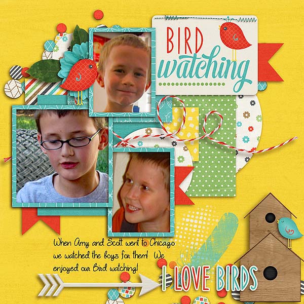 Bird Watching