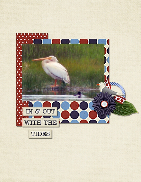 Bird Watching